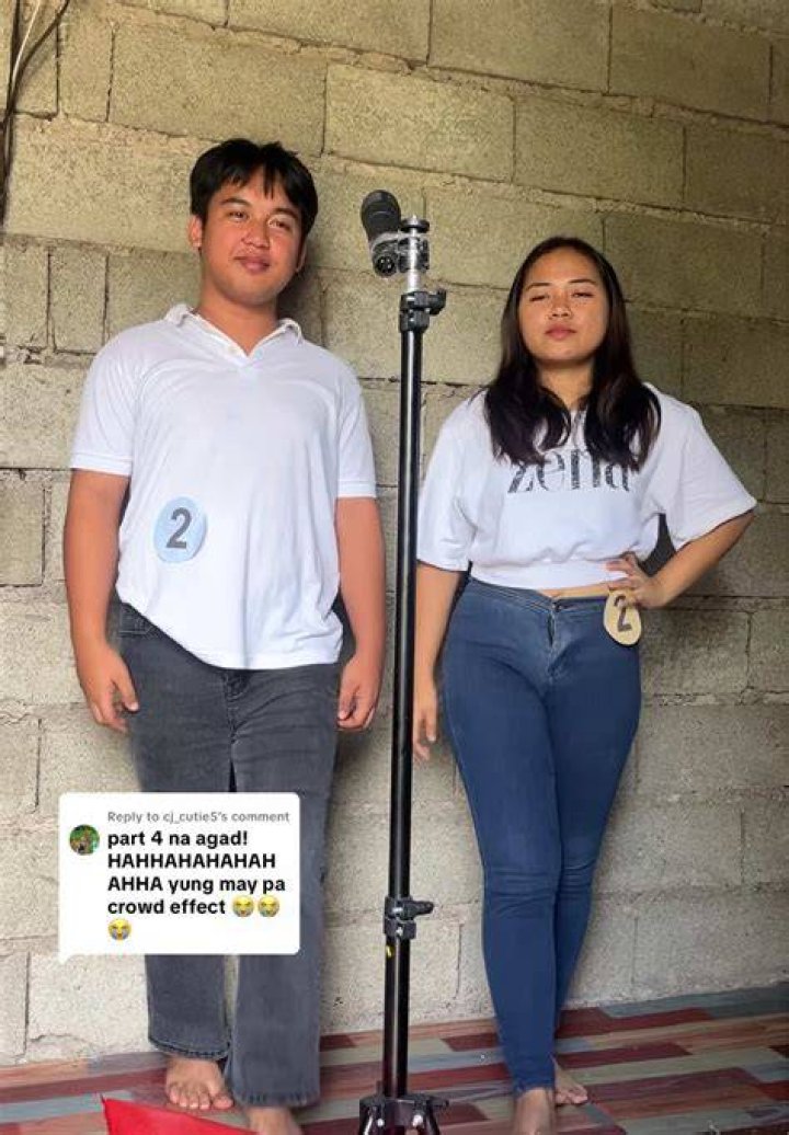 Cutie5 Adviser