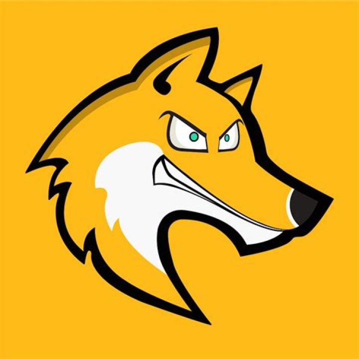 Energetic Fox Studios
