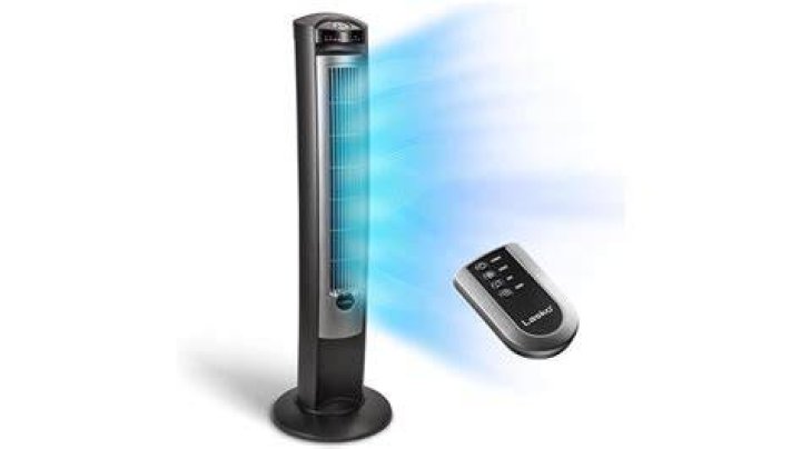 Fan