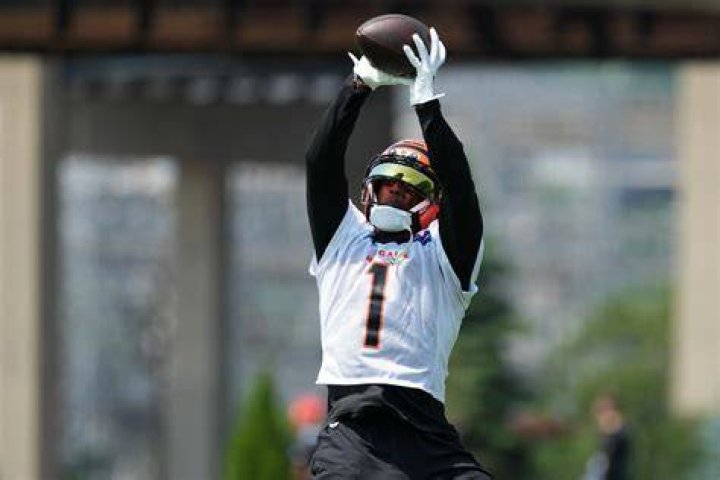 Himself - Cincinnati Bengals Wide Receiver