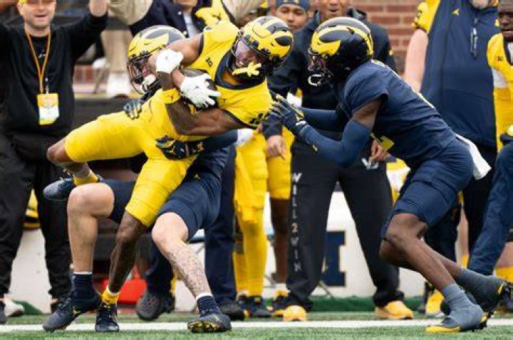 Himself - Michigan Wolverines Wide Receiver