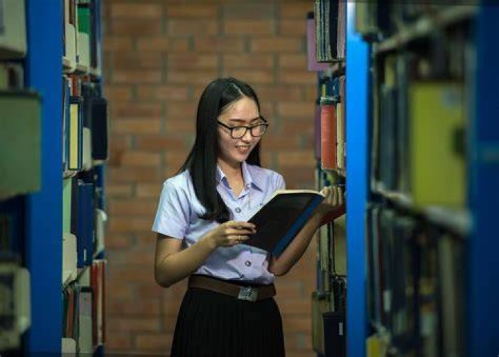 Librarian
