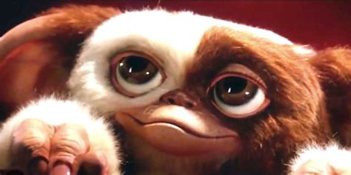 Mogwai / Gremlins