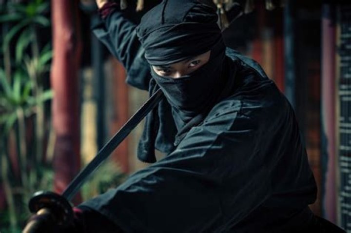 Ninja