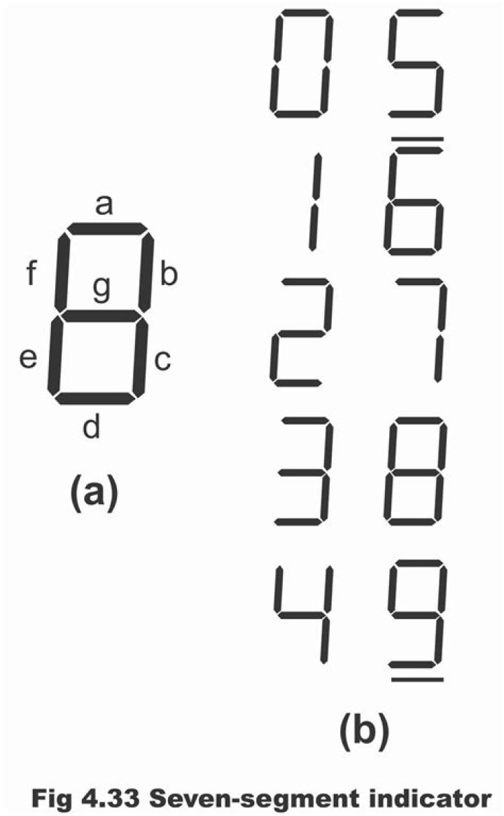 Steven (segment