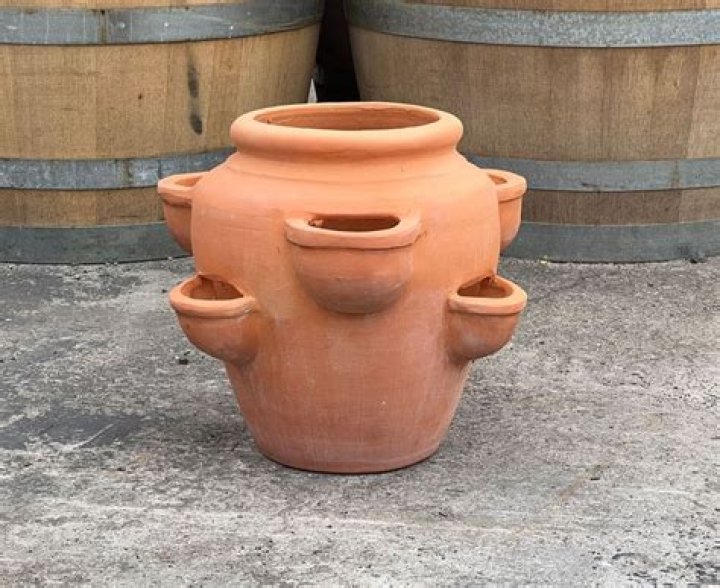 Terracotta