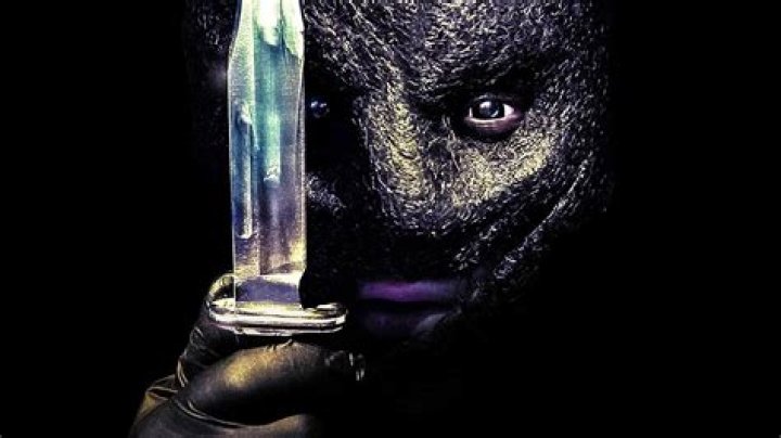 The Collector